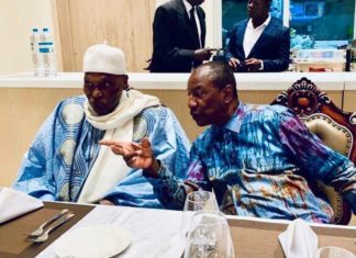 Solidarité en « ex-président » : Me Abdoulaye Wade met à disposition sa maison pour Alpha Condé