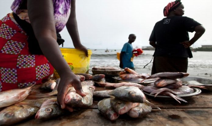 PECHE-SENEGAL
