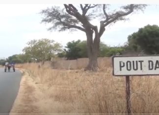 Les griots bannis du cimetière à Pout Dagne