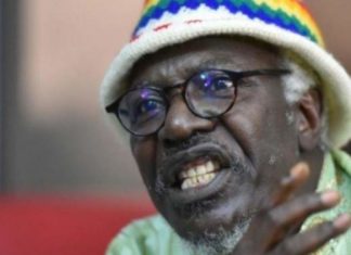 Sanction de la CEDEAO contre le Mali: Alpha Blondy crache ses vérité