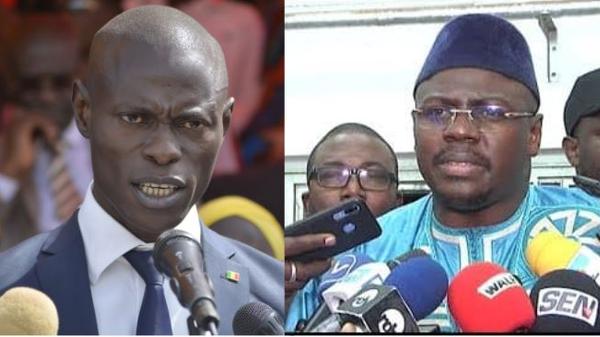 cheikh-ahmed-tidiane-thiam-et-pape-gorgui-ndong