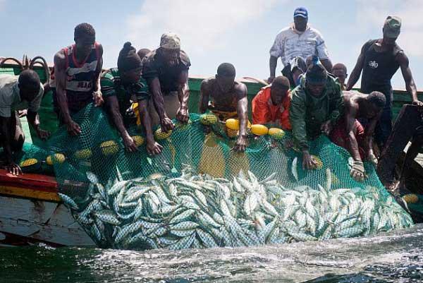 peche-mere-