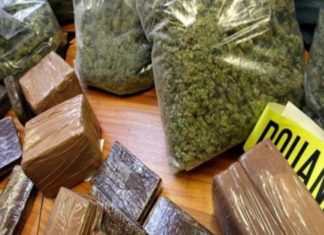 Douanes sénégalaises : saisie de 1654 kg de chanvre indien et de faux médicaments d’une valeur de plus de 256 millions FCFA