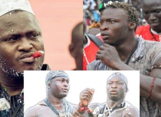 Pour cause de blessure: Le combat Modou Lo Ama Baldé reporté