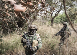 Casamance : l’armée accule les bases de l’indépendantiste Salif Sadio et perd un soldat