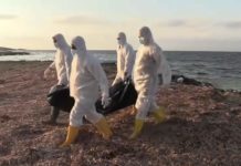 Crise migratoire : 17 cadavres de voyageurs clandestins rejetés par la mer au large de la Tunisie