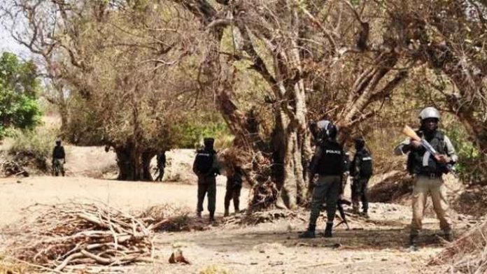 Foret-Wagadou-armee-malienne
