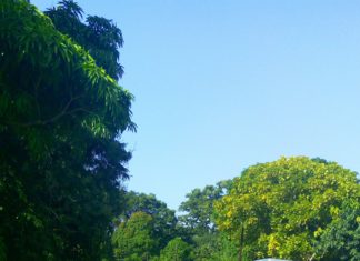 Casamance : une bande armée braque des commerçants