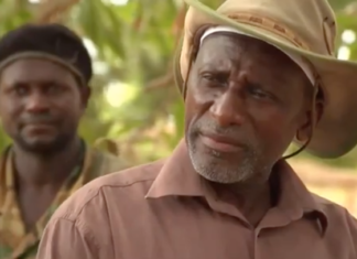 Qui est Salif Sadio, l’irréductible chef rebelle indépendantiste? 10 choses à savoir