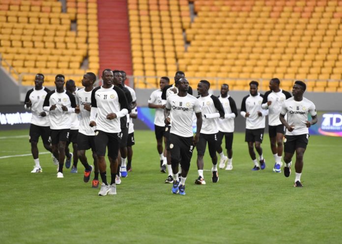 galop-lions-stade-abdoulaye-wade_5692