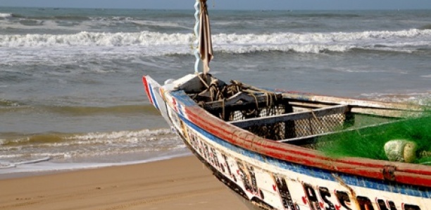 Pirogue