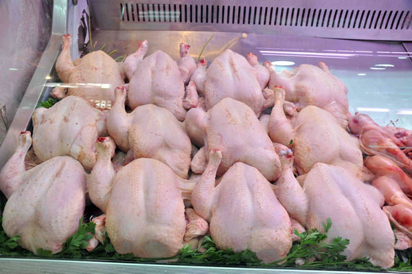 poulet