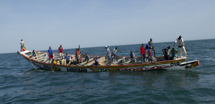 Pirogue