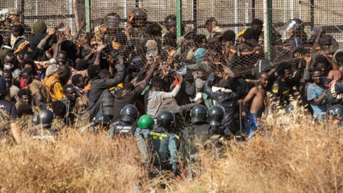Migrants 2