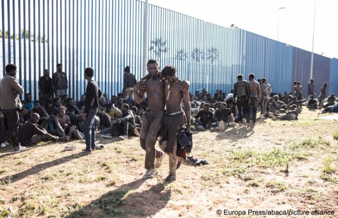 Migrants 3