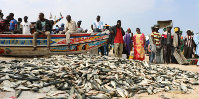 pêche-au-sénégal-900x450