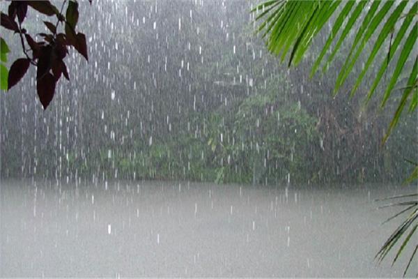 pluie