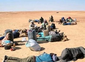 5 Sénégalais largués dans le désert algérien, en danger de mort