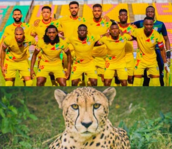 Les Guépards du Bénin