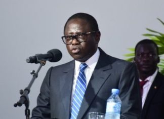 14e Législature: Pape Diop dans les prairies marrons