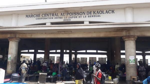 kk_marche_central_poisson