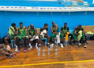 Basket : le Sénégal bat l’Egypte en amical