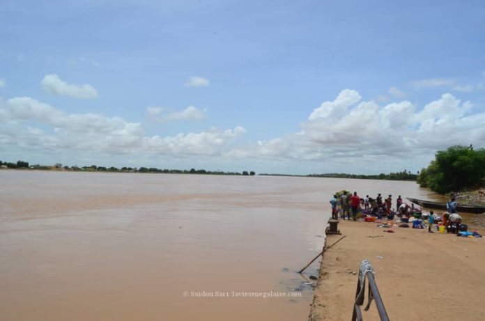 Alerte-Le-niveau-des-eaux-du-Fleuve-Senegal-a-Matam-4