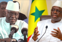 Habib Sy «dessert» Macky «en déclin» : «Nous sommes là pour lui faire comprendre que c’est fini»