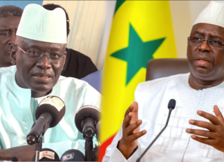 Habib Sy «dessert» Macky «en déclin» : «Nous sommes là pour lui faire comprendre que c’est fini»
