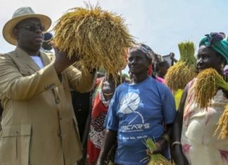 Prochaine campagne agricole: des opérateurs privés réclament, d’abord, leur dû à l’Etat