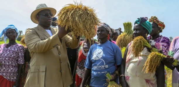 Macky Sall - Agricole