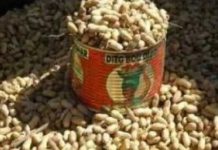 CHERTÉ DU PRIX DE L’ARACHIDE: Le Président de l’Organisation des Paysans du Sénégal, en fin de tournée nationale, donne les raisons.
