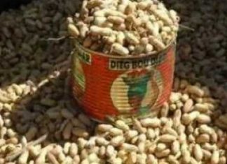 CHERTÉ DU PRIX DE L’ARACHIDE: Le Président de l’Organisation des Paysans du Sénégal, en fin de tournée nationale, donne les raisons.