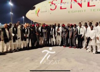 Air Sénégal a transporté les Lions jusqu’au Qatar