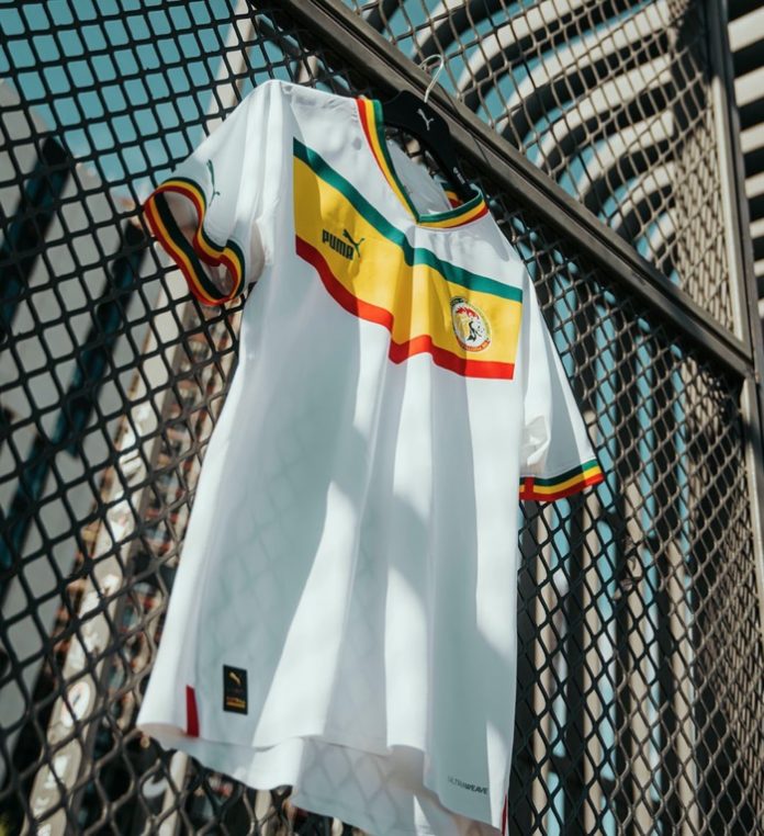 Maillot des Lions