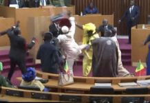 AFFAIRE AMY NDIAYE: Massata Samb et Ibrahima Niang, face au procureur ce mercredi