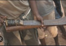 DRAME À MBOUR- Un berger agresse un cultivateur avec un coupe-coupe