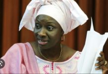 Accusations «marron-biaisé» de Farba: Mimi Touré se lave à grande eau