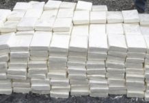 TRAFIC DE DROGUE: 25 kg de cocaïne pure saisis à Kaolack