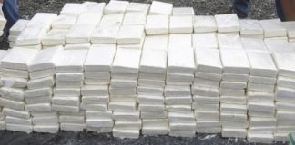 TRAFIC DE DROGUE: 25 kg de cocaïne pure saisis à Kaolack
