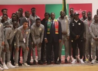 Mondial 2022: éliminés en 8e, les Lions recevront leurs primes pour les 1/4 de finale