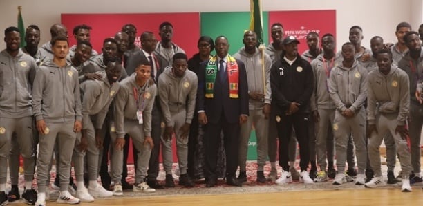 Qatar - Retour des Lions