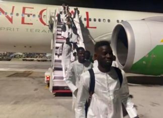 TANIERE NEWS: Les Lions rentrent aujourd’hui, à 16 h 30