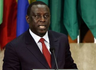 CELEBRATION DES 10 ANS DE L’IPS : Cheikh Tidiane Gadio indique le chemin du développement