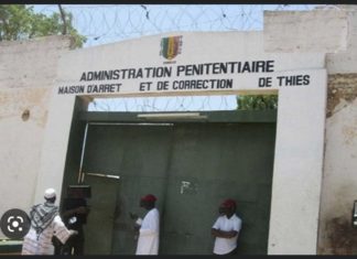 PRISON DE MBOUR : Le présumé meurtrier de la franco-sénégalaise tuée à Somone en cavale