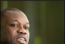 RÉVÉLATIONS DE CYS : SONKO annonce une citation directe à Cheikh Yerim Seck et à l’Harmattan