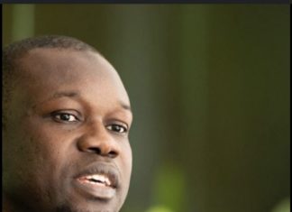 RÉVÉLATIONS DE CYS : SONKO annonce une citation directe à Cheikh Yerim Seck et à l’Harmattan