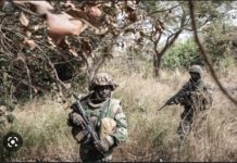 REBELLION EN CASAMANCE : Un soldat sénégalais abattu