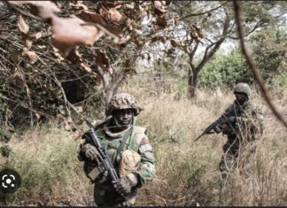 REBELLION EN CASAMANCE : Un soldat sénégalais abattu