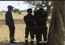 SOCIÉTÉ : Trompé par sa femme, un homme se suicide à Saly